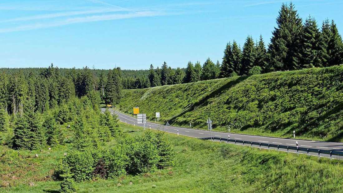 Die B 242 am Sperberhaier Damm zieht im Sommer in weiter Kurve durch Fichtenwald; rechts der Fahrbahn steigt hinter der Leitplanke eine grün bewachsene Böschung an.